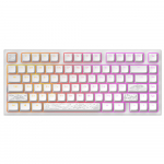 Dark Project ALU81A Terra Nostra White, G3MS Moonstone Switch, RU
