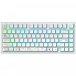 Dark Project ALU81A Terra Nova White, G3MS Moonstone Switch, US