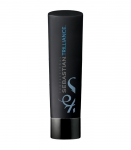 Sebastian Trilliance Shampoo juukse&scaron;ampoon 250ml