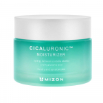 Mizon Cicaluronic toitev ja niisutav n&auml;okreem, 50 ml