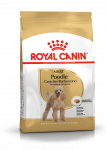 Royal Canin Poodle Adult kuivtoit koertele, 1,5 kg
