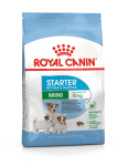 Royal Canin Mini Starter kuivtoit koertele, 1 kg