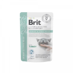 Brit GF Veterinary Diets Urinary kalkunikonserv kassidele, 85 g