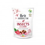 Brit Care Insects with Lamb koerte maiuspala lambalihaga, 200 g