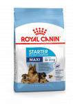 Royal Canin Maxi Starter kuivtoit koertele, 15 kg