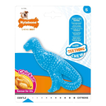 Nylabone Puppy Dino kanamaitselised n&auml;rimiskondid v&auml;ikestele kutsikatele, S