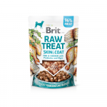 Brit Raw Treat Skin & Coat maiuspalad koertele, 40 g