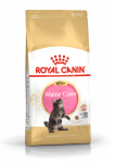 Royal Canin Maine Coon Kitten kuivtoit kassipoegadele, 400 g