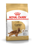 Royal Canin Cocker Adult kuivtoit koertele, 3 kg