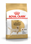 Royal Canin Labrador Retriever Adult kuivtoit koertele, 12 kg