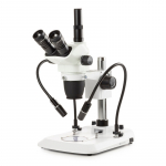 Euromex Nexius Zoom Evo NZ.1703-PG, trino, 6,5x-55x stereomikroskoop