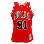 Mitchell & Ness NBA Swingman Jerseys Chicago Bulls - Suurus Dennis Rodman #91 - Suurus L (SMJYGS18154-CBUSCAR9 T-s&auml;rgid)