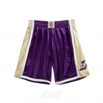Mitchell & Ness NBA Hall Of Fame Authentic Shorts Los Angeles Lakers 1996-2016 Kobe Bryant Purple - Suurus M (ASHRCP20026-LALPURP96KBR L&uuml;hikesed p&uuml;ksid)