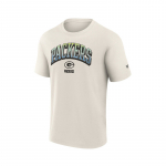 Fanatics NFL Core Gradient SS Crew T-Shirt Green Bay Packers - Suurus M (01FM-09N4-7T-CWW )