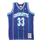Mitchell & Ness NBA Swingman Jersey Charlotte Hornets Alternate 1994-95 Alonzo Mourning - Suurus M (SMJYAC18010-CHOPURP94AMO T-s&auml;rgid)