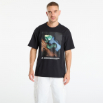 Nike ACG Men's Dri-FIT T-Shirt Black - Suurus S (HJ0889-010 T-s&auml;rgid)