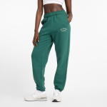 New Balance Wmns 500 - Suurus S (WP43500NWG )