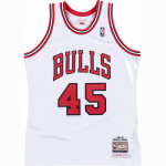 Mitchell & Ness NBA Authentic Jersey Chicago Bulls 1994-95 Michael Jordan - Suurus S (AJY4LG19007-CBUWHIT94MJO T-s&auml;rgid)