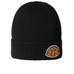 The North Face Logo Box Beanie (0A8CHEFOX1 )
