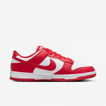 Nike Dunk Low Next Nature  - Suurus 36 (DD1873-116 Vabaajajalatsid)