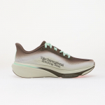 Nike Pegasus 42 Ironstone/ Black-Sea Glass-Arctic Green - Suurus 40 (IW2349-001 Vabaajajalatsid)