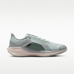 Nike Pegasus 41 GORE-TEX - Suurus 43 (FQ1356-007 Jooksujalatsid)