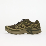Salomon XT-EVR GTX Olive Night/ Aloe/ Black 44 - Suurus 48 (L47714200 Vabaajajalatsid)