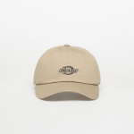 Dickies Essential Dad Cap Desert Sand (DK0A4Z6N0DS1 Teised m&uuml;tsid)
