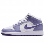 Nike Air Jordan 1 Mid (DQ8423-500 )