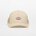 Dickies Hanston Trucker Eucalyptus - Suurus Universaalne (DK0A4YV3L441 Teised m&uuml;tsid)