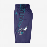 Nike Charlotte Hornets Statement Edition - Suurus XXL (DO9425-566 L&uuml;hikesed p&uuml;ksid)