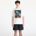 Nike ACG Men's Dri-Fit T-Shirt Summit White - Suurus XS (HJ0889-121 T-s&auml;rgid)