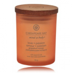 Chesapeake Bay Mind & Body Love + Passion Grapefruit Mango l&otilde;hnak&uuml;&uuml;nal - 96 g.