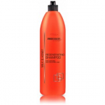 Prosalon Milk & Honey Regenerating Shampoo taastav &scaron;ampoon kahjustatud ja v&auml;rvitud juustele - 1000 ml.