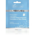 Bielenda Professional SupremeLab Hydra Glow niisutav lehtmask - 1 tk.