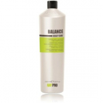 KayPro Scalp Care Balance Sebum Control Shampoo &scaron;ampoon rasusele peanahale ja juustele - 1000 ml.