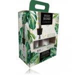 Sweet Home Collection Jasmine and Tuberose komplekt kodule (100 ml l&otilde;hn pulkadega + 110 g l&otilde;hnak&uuml;&uuml;nal) - Komplekt