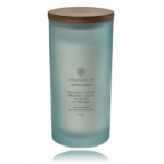 Chesapeake Bay Mind & Body Reflection + Clarity Sea Salt Sage l&otilde;hnak&uuml;&uuml;nal - 355 g.