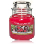 Yankee Candle Red Raspberry l&otilde;hnak&uuml;&uuml;nal - 104 g.