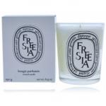 Diptyque Freesia Scented Candle l&otilde;hnak&uuml;&uuml;nal - 190 g.