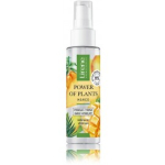 Lirene Power of Plants Mango h&uuml;drolaat - 100 ml.