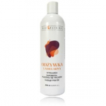 Bio&eacute;lixire Expert Lamellar Conditioner kasdienis kondicionierius visų tipų plaukams - 500 ml.