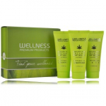 Wellness Premium Products Organic Hemp Seed Oil Intensive juuksehoolduskomplekt (mask 50 ml + &scaron;ampoon 50 ml + palsam 50 ml) - 1 tk.