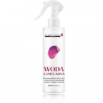 Bio&eacute;lixire Expert Lamellar Water pur&scaron;kiamas lamelinis vanduo visiems plaukų tipams - 250 ml.