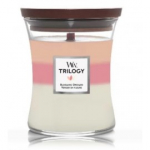 WoodWick Trilogy Blooming Orchard l&otilde;hnak&uuml;&uuml;nal - 275 g.