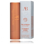Augustinus Bader The Lip Balm huulepalsam - 4 g.