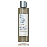 Briogeo Scalp Revival Dandruff Relief Shampoo &scaron;ampoon ketendavale peanahale - 248 ml.