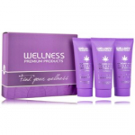 Wellness Premium Products Silver Mini komplekt blondidele juustele (&scaron;ampoon 2x50 ml + juuksemask 50 ml) - 1 tk.
