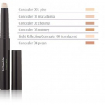 Dr. Hauschka Concealer peitekreem 2,5 ml. - 01 Macadamia
