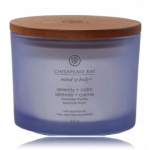 Chesapeake Bay Mind & Body Serenity + Calm Lavender Thyme l&otilde;hnak&uuml;&uuml;nal - 312 g.